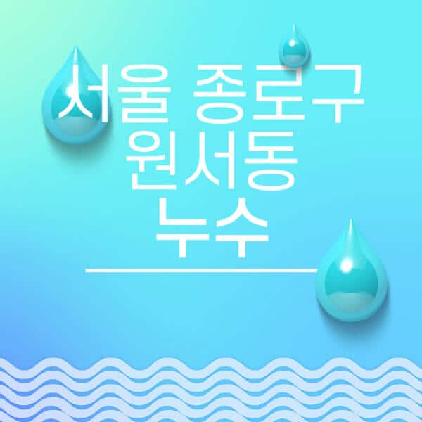 서울-종로구-원서동-누수탐지-전문업체-추천-비용-보험-후기-좋은-곳-출장비-잘하는-곳-종류-아파트