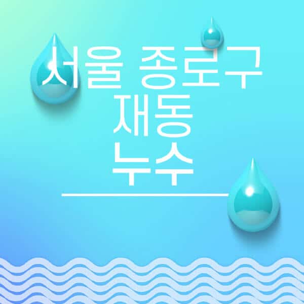 서울-종로구-재동-누수탐지-전문업체-추천-비용-보험-후기-좋은-곳-출장비-잘하는-곳-종류-아파트