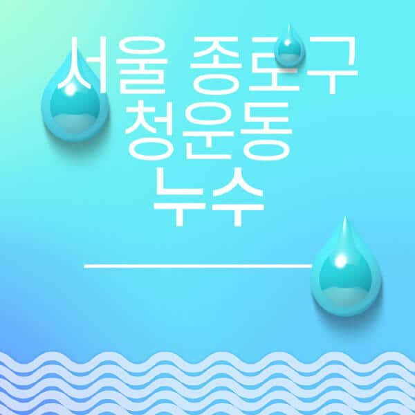 서울-종로구-청운동-누수탐지-전문업체-추천-비용-보험-후기-좋은-곳-출장비-잘하는-곳-종류-아파트