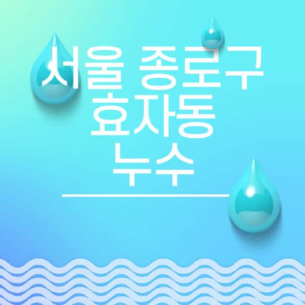 서울-종로구-효자동-누수탐지-전문업체-추천-비용-보험-후기-좋은-곳-출장비-잘하는-곳-종류-아파트