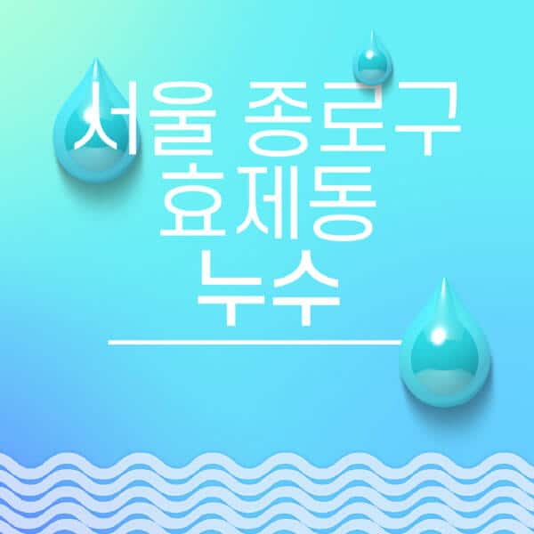서울-종로구-효제동-누수탐지-전문업체-추천-비용-보험-후기-좋은-곳-출장비-잘하는-곳-종류-아파트