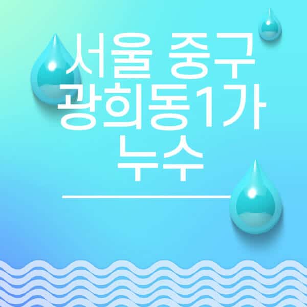 서울-중구-광희동1가-누수탐지-전문업체-추천-비용-보험-후기-좋은-곳-출장비-잘하는-곳-종류-아파트