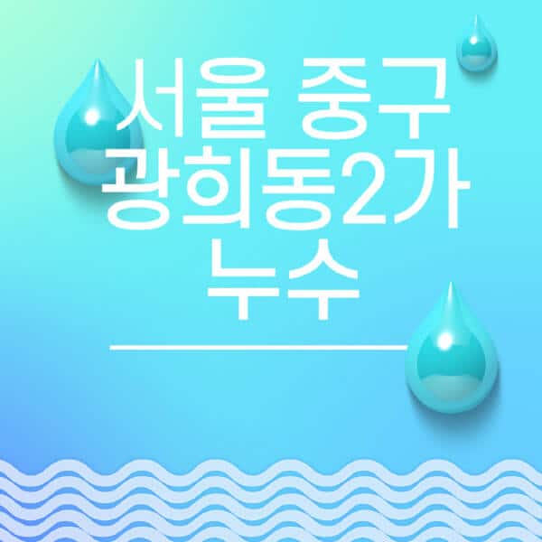 서울-중구-광희동2가-누수탐지-전문업체-추천-비용-보험-후기-좋은-곳-출장비-잘하는-곳-종류-아파트
