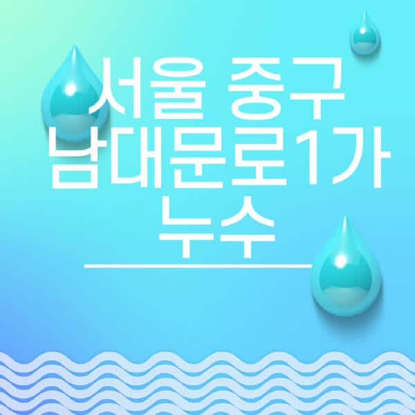 서울-중구-남대문로1가-누수탐지-전문업체-추천-비용-보험-후기-좋은-곳-출장비-잘하는-곳-종류-아파트