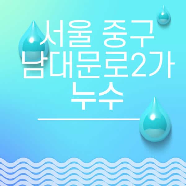 서울-중구-남대문로2가-누수탐지-전문업체-추천-비용-보험-후기-좋은-곳-출장비-잘하는-곳-종류-아파트