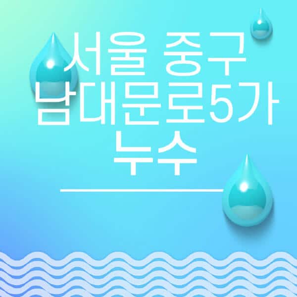 서울-중구-남대문로5가-누수탐지-전문업체-추천-비용-보험-후기-좋은-곳-출장비-잘하는-곳-종류-아파트