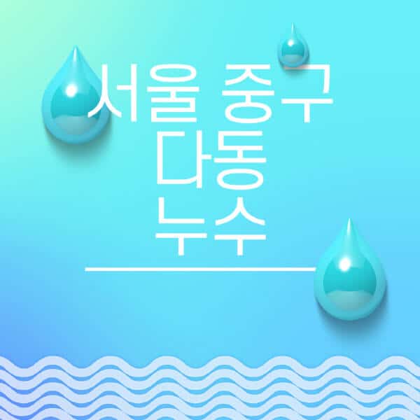 서울-중구-다동-누수탐지-전문업체-추천-비용-보험-후기-좋은-곳-출장비-잘하는-곳-종류-아파트
