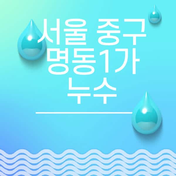 서울-중구-명동1가-누수탐지-전문업체-추천-비용-보험-후기-좋은-곳-출장비-잘하는-곳-종류-아파트