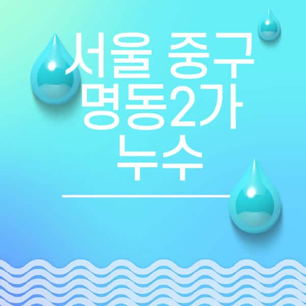 서울-중구-명동2가-누수탐지-전문업체-추천-비용-보험-후기-좋은-곳-출장비-잘하는-곳-종류-아파트
