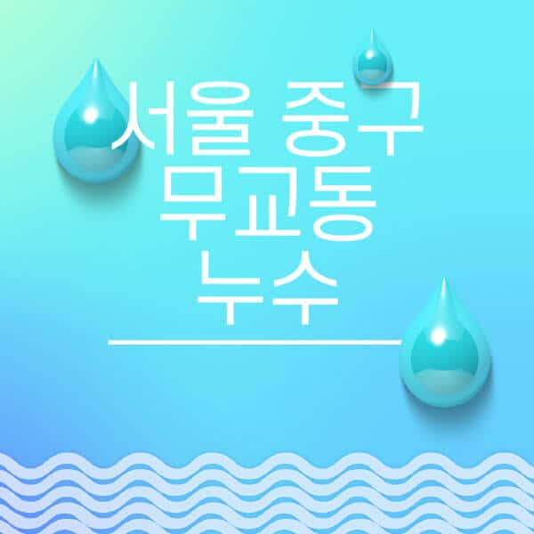 서울-중구-무교동-누수탐지-전문업체-추천-비용-보험-후기-좋은-곳-출장비-잘하는-곳-종류-아파트
