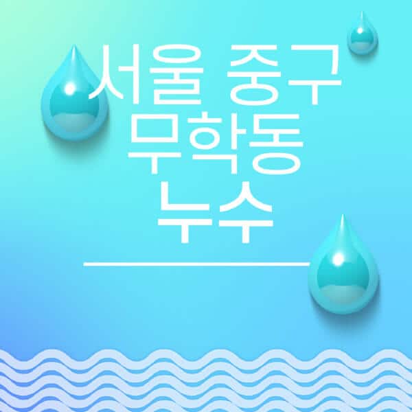 서울-중구-무학동-누수탐지-전문업체-추천-비용-보험-후기-좋은-곳-출장비-잘하는-곳-종류-아파트