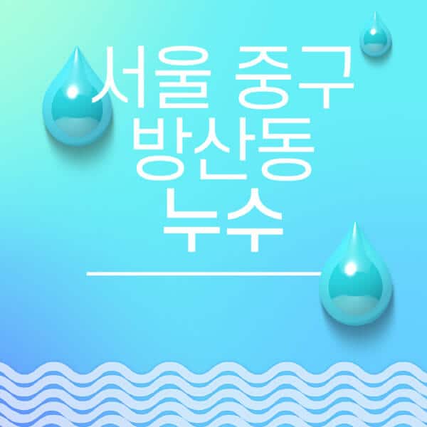 서울-중구-방산동-누수탐지-전문업체-추천-비용-보험-후기-좋은-곳-출장비-잘하는-곳-종류-아파트