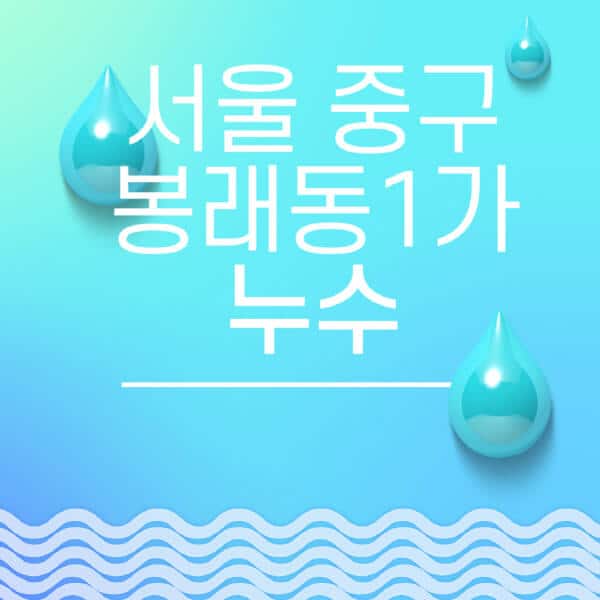 서울-중구-봉래동1가-누수탐지-전문업체-추천-비용-보험-후기-좋은-곳-출장비-잘하는-곳-종류-아파트