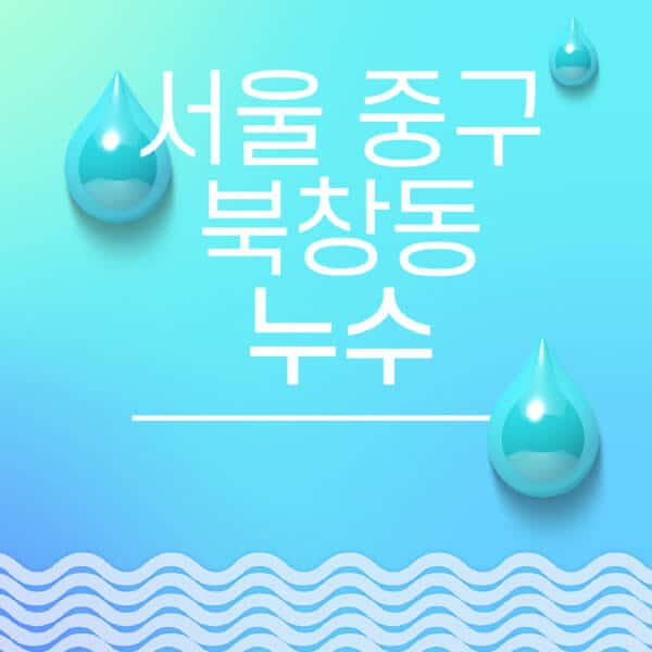 서울-중구-북창동-누수탐지-전문업체-추천-비용-보험-후기-좋은-곳-출장비-잘하는-곳-종류-아파트