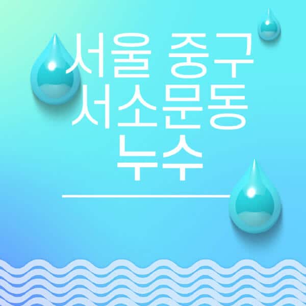 서울-중구-서소문동-누수탐지-전문업체-추천-비용-보험-후기-좋은-곳-출장비-잘하는-곳-종류-아파트