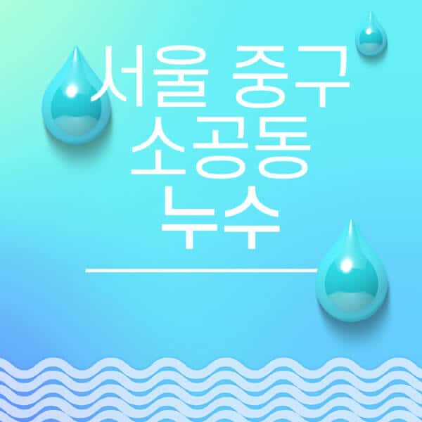 서울-중구-소공동-누수탐지-전문업체-추천-비용-보험-후기-좋은-곳-출장비-잘하는-곳-종류-아파트