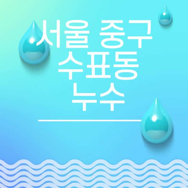 서울-중구-수표동-누수탐지-전문업체-추천-비용-보험-후기-좋은-곳-출장비-잘하는-곳-종류-아파트
