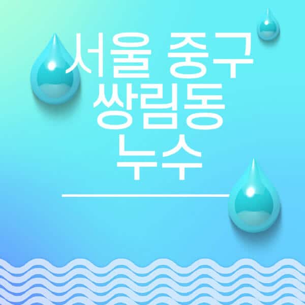 서울-중구-쌍림동-누수탐지-전문업체-추천-비용-보험-후기-좋은-곳-출장비-잘하는-곳-종류-아파트
