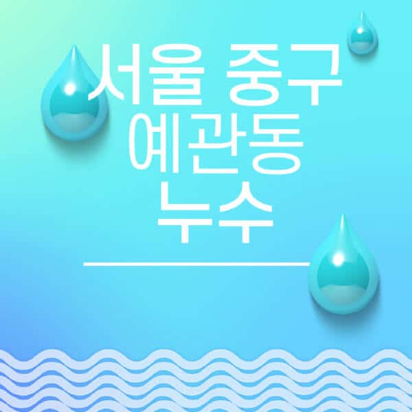 서울-중구-예관동-누수탐지-전문업체-추천-비용-보험-후기-좋은-곳-출장비-잘하는-곳-종류-아파트