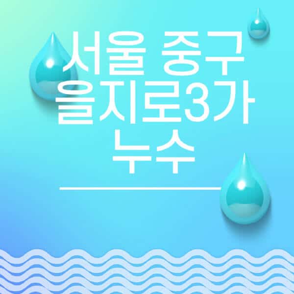 서울-중구-을지로3가-누수탐지-전문업체-추천-비용-보험-후기-좋은-곳-출장비-잘하는-곳-종류-아파트