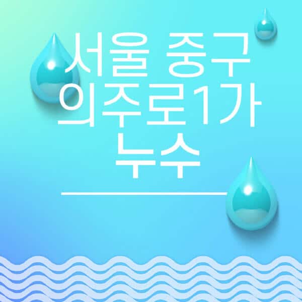 서울-중구-의주로1가-누수탐지-전문업체-추천-비용-보험-후기-좋은-곳-출장비-잘하는-곳-종류-아파트