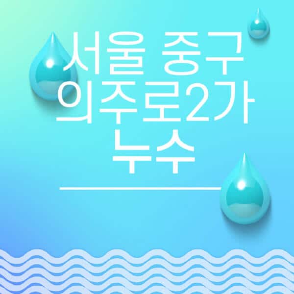 서울-중구-의주로2가-누수탐지-전문업체-추천-비용-보험-후기-좋은-곳-출장비-잘하는-곳-종류-아파트