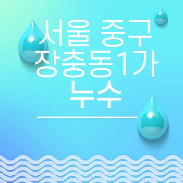 서울-중구-장충동1가-누수탐지-전문업체-추천-비용-보험-후기-좋은-곳-출장비-잘하는-곳-종류-아파트