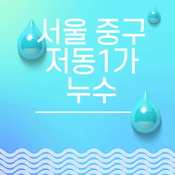 서울-중구-저동1가-누수탐지-전문업체-추천-비용-보험-후기-좋은-곳-출장비-잘하는-곳-종류-아파트