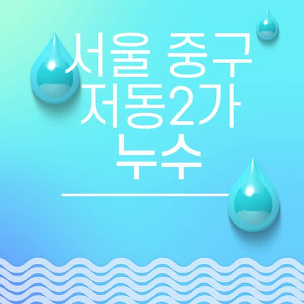 서울-중구-저동2가-누수탐지-전문업체-추천-비용-보험-후기-좋은-곳-출장비-잘하는-곳-종류-아파트