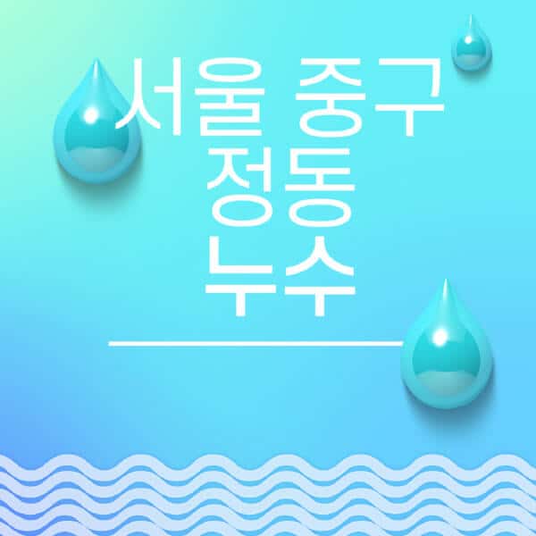 서울-중구-정동-누수탐지-전문업체-추천-비용-보험-후기-좋은-곳-출장비-잘하는-곳-종류-아파트