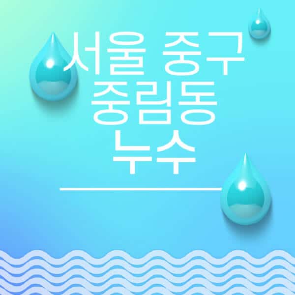 서울-중구-중림동-누수탐지-전문업체-추천-비용-보험-후기-좋은-곳-출장비-잘하는-곳-종류-아파트