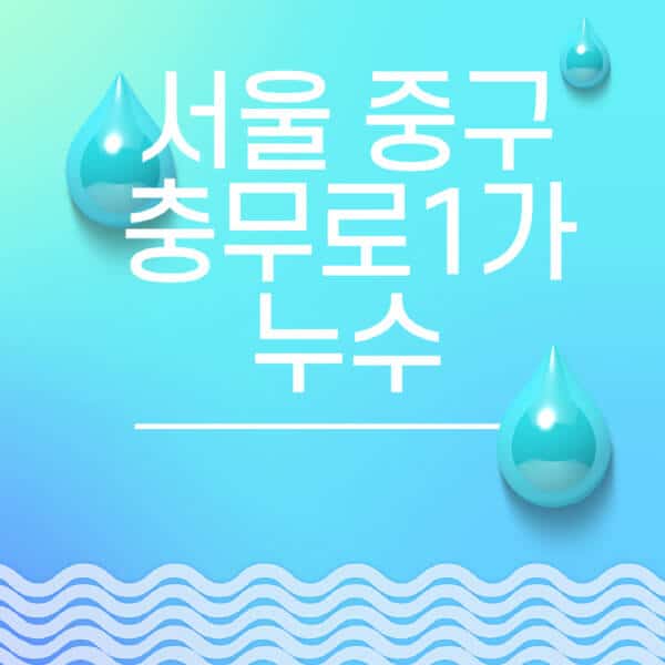 서울-중구-충무로1가-누수탐지-전문업체-추천-비용-보험-후기-좋은-곳-출장비-잘하는-곳-종류-아파트