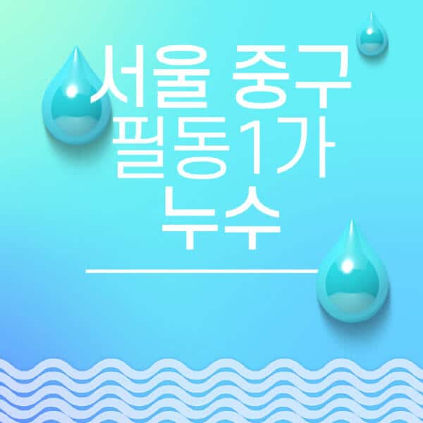 서울-중구-필동1가-누수탐지-전문업체-추천-비용-보험-후기-좋은-곳-출장비-잘하는-곳-종류-아파트