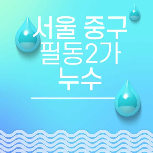 서울-중구-필동2가-누수탐지-전문업체-추천-비용-보험-후기-좋은-곳-출장비-잘하는-곳-종류-아파트