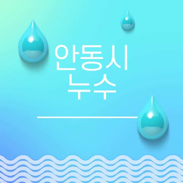 안동시-누수탐지-전문업체-추천-비용-보험-후기-좋은-곳-출장비-잘하는-곳-종류-아파트