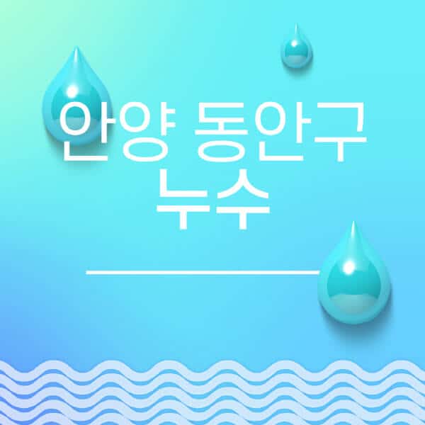 안양-동안구-누수탐지-전문업체-추천-비용-보험-후기-좋은-곳-출장비-잘하는-곳-종류-아파트
