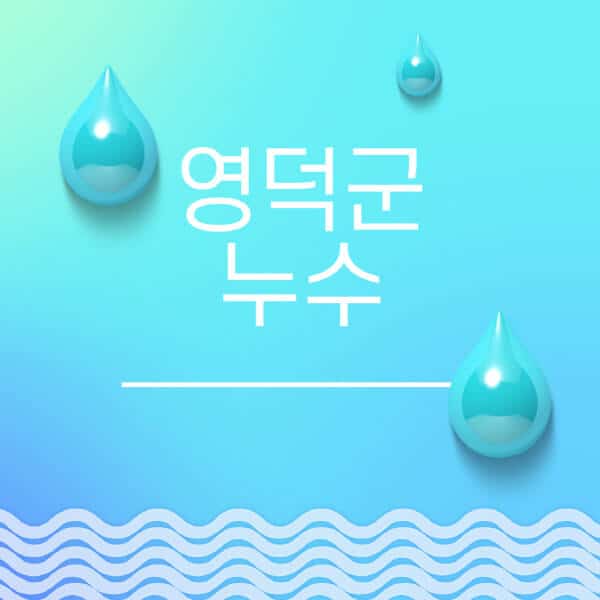 영덕군-누수탐지-전문업체-추천-비용-보험-후기-좋은-곳-출장비-잘하는-곳-종류-아파트