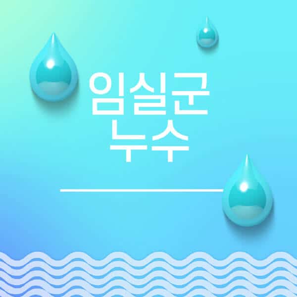 임실군-누수탐지-전문업체-추천-비용-보험-후기-좋은-곳-출장비-잘하는-곳-종류-아파트