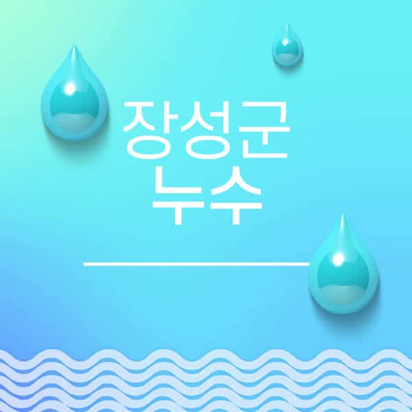장성군-누수탐지-전문업체-추천-비용-보험-후기-좋은-곳-출장비-잘하는-곳-종류-아파트