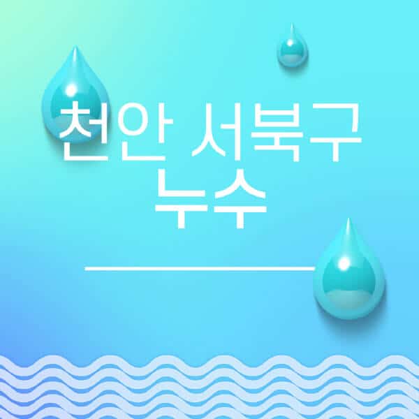 천안-서북구-누수탐지-전문업체-추천-비용-보험-후기-좋은-곳-출장비-잘하는-곳-종류-아파트