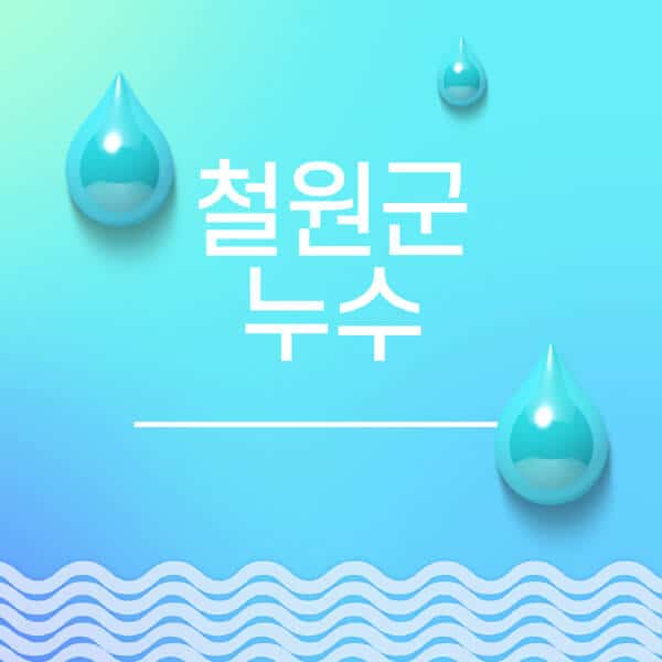 철원군-누수탐지-전문업체-추천-비용-보험-후기-좋은-곳-출장비-잘하는-곳-종류-아파트