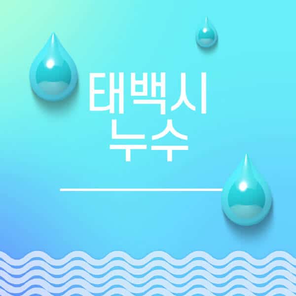 태백시-누수탐지-전문업체-추천-비용-보험-후기-좋은-곳-출장비-잘하는-곳-종류-아파트