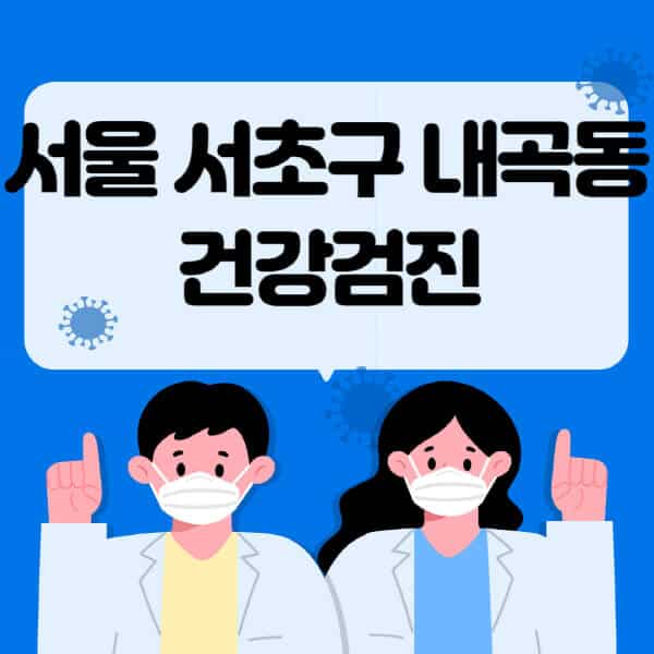 서울-서초구-내곡동-종합건강검진-센터-잘하는-곳-추천-국가-직장인-공무원-여성-영유아-비용-대상자-조회-방법-지정-병원-조회